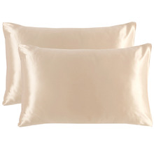 Luxe Mulberry Silk Standard Pillowcases (Set of 2)